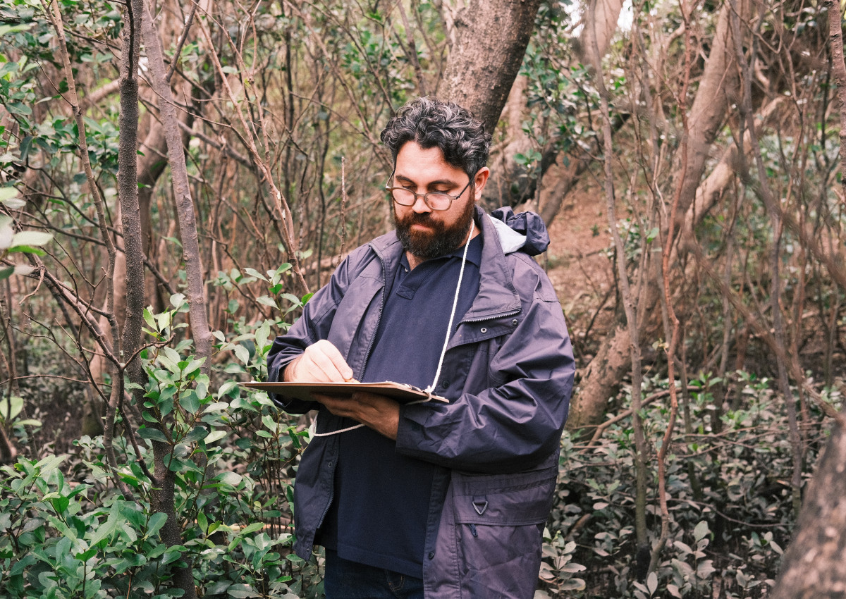 Walking the Mangroves with Chris Bassi