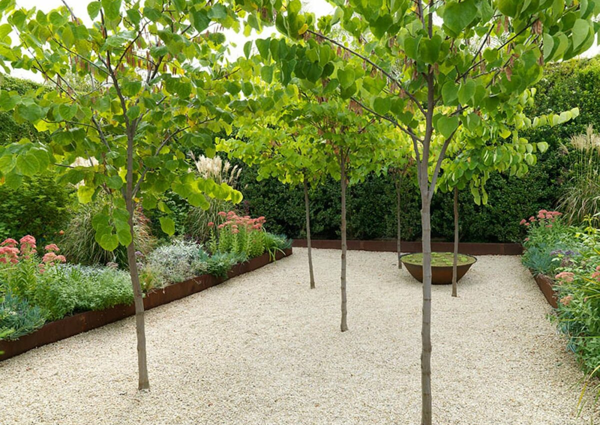 Escape Artistry: North Adelaide Residence in Weekend Australian