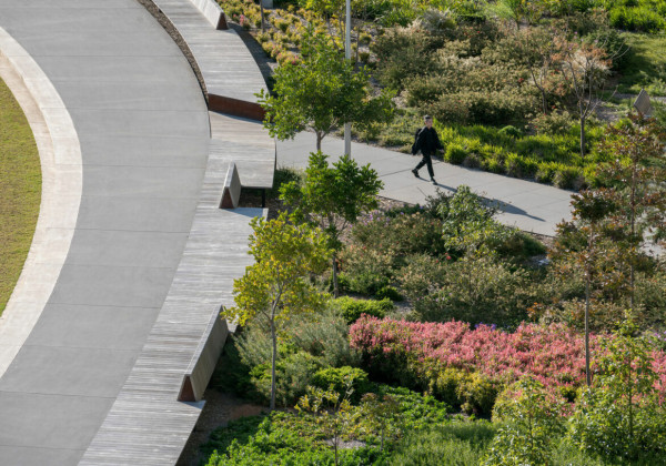 Monash University Clayton Campus Eastern Precinct Landscape