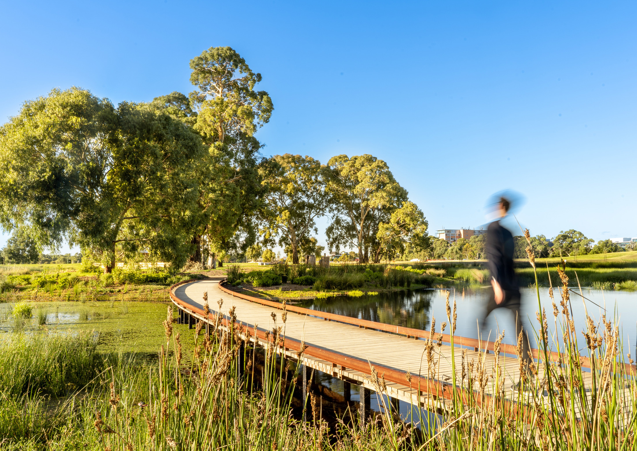 South Parklands Wetlands