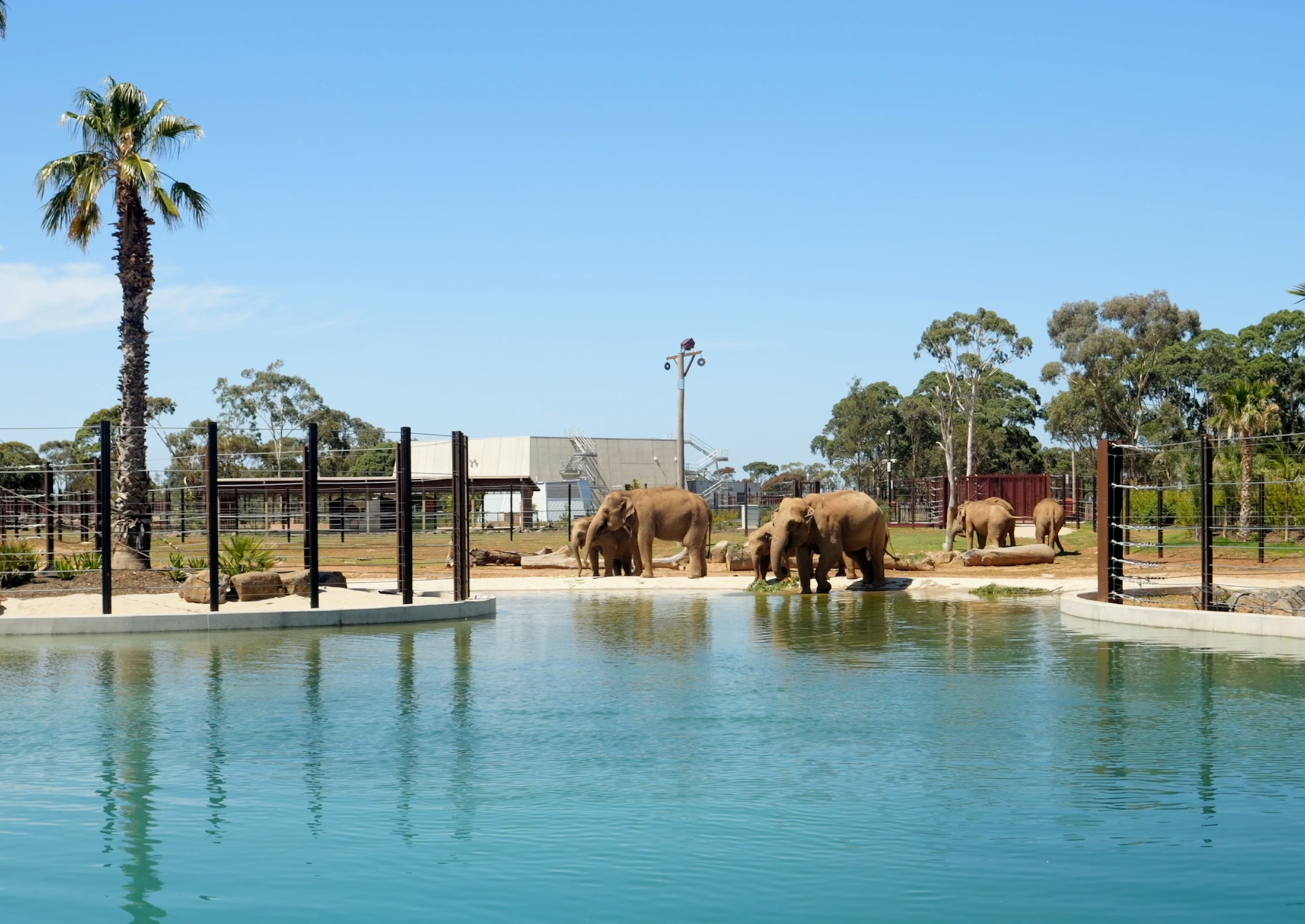 Werribee Open Range Zoo Redevelopment