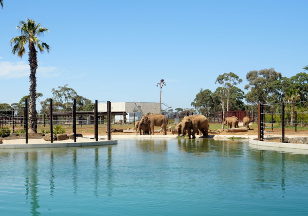 Werribee Open Range Zoo Redevelopment